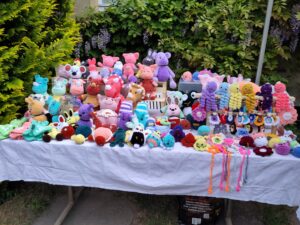 IMG_20250510_134229