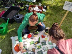 IMG_20250510_154944